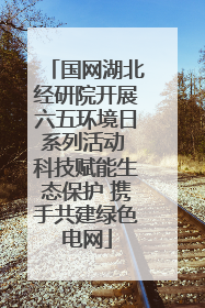 国网湖北经研院开展六五环境日系列活动 科技赋能生态保护 携手共建绿色电网